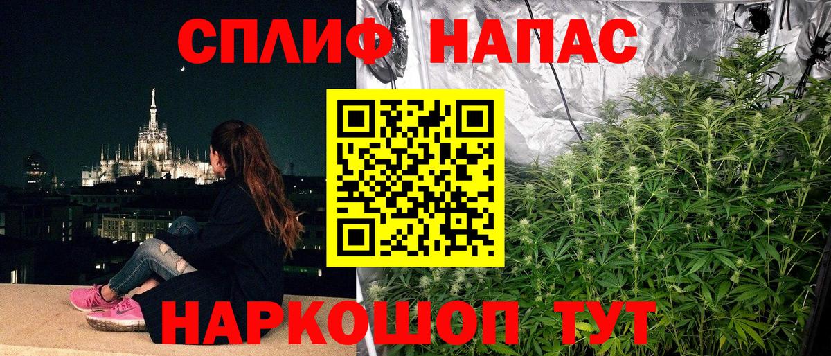 Конопля MAZAR  Шишки марихуана сатива  Тара  Конопля планчик  Вход с VPN 